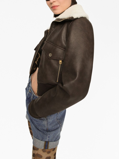 Shop Dolce & Gabbana Shearling-collar Bomber Jacket In Brown