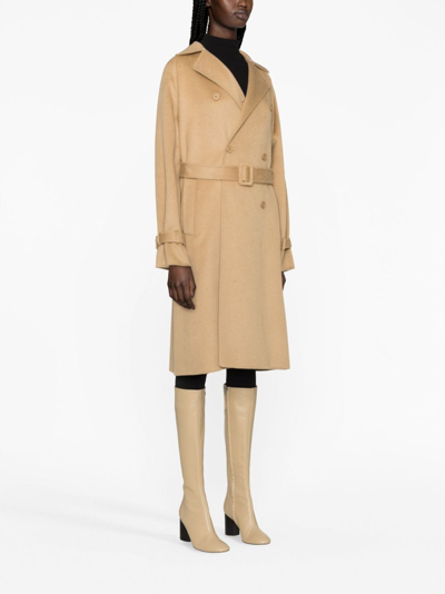 Shop P.a.r.o.s.h Double-breasted Wool Trench Coat In Brown