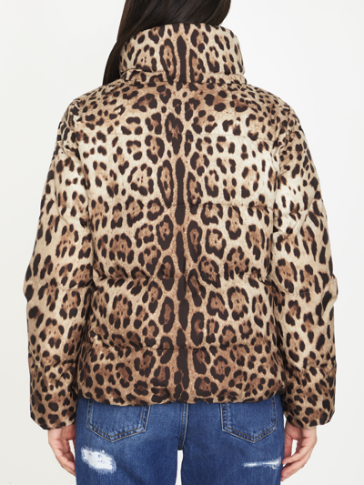Shop Dolce & Gabbana Leo-printed Down Jacket In Maculato