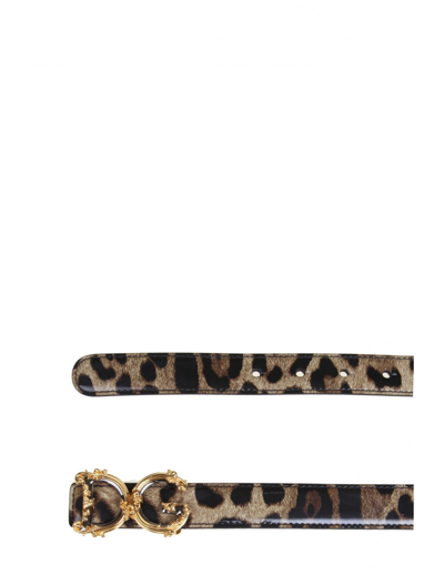 Shop Dolce & Gabbana Belt In Glossy Calf Leather With Baroque Logo In Leo