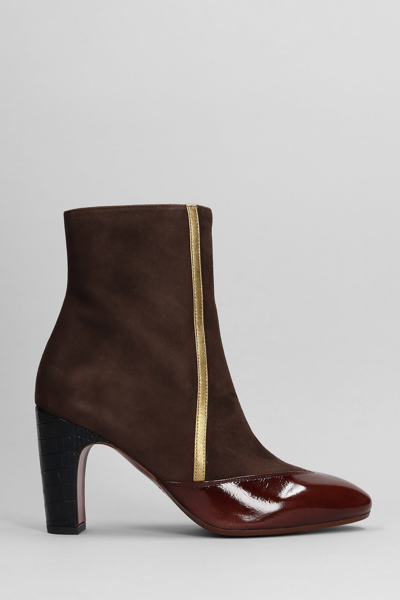 Shop Chie Mihara Ewan High Heels Ankle Boots In Dark Brown Suede And Leather