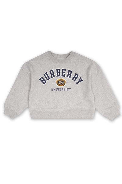 Shop Burberry Printed Sweatshirt In Grigio