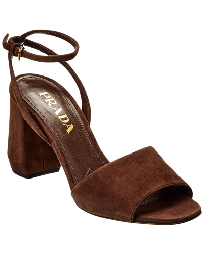 Shop Prada Suede Sandal In Brown