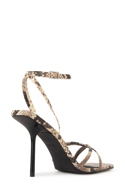 Shop Black Suede Studio Gemma Ankle Strap Sandal In Snake Leather