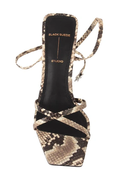 Shop Black Suede Studio Gemma Ankle Strap Sandal In Snake Leather