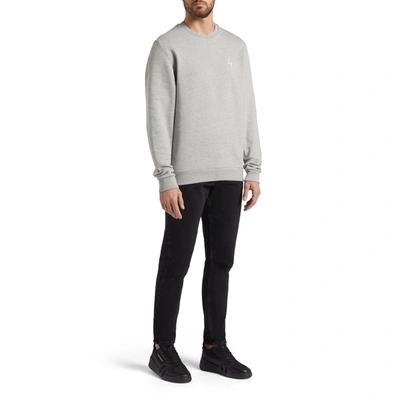 Giuseppe Zanotti Logo Cotton Sweatshirt In Grey
