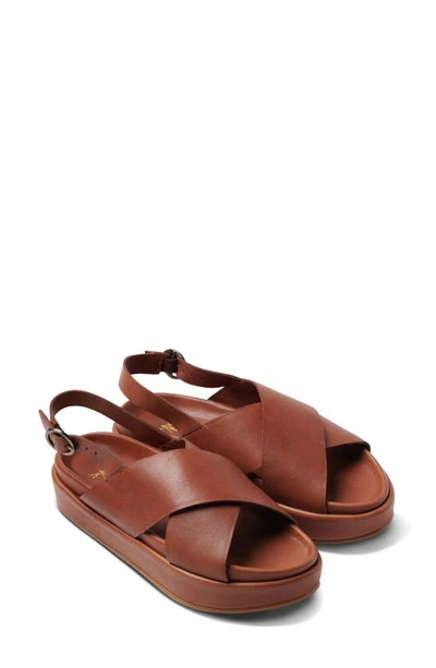 Shop Beek Gull Crisscross Slingback Sandal In Cognac