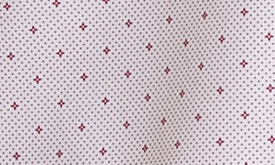 Tom Baine Slim Fit Performance Short Sleeve Button-up Shirt In Light Pink White