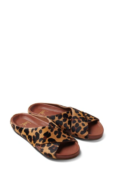 Shop Beek Robin Genuine Calf Hair Slide Sandal In Leopard