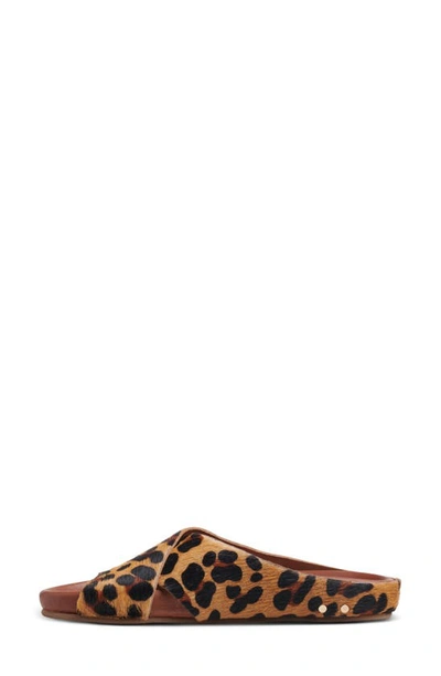 Shop Beek Robin Genuine Calf Hair Slide Sandal In Leopard