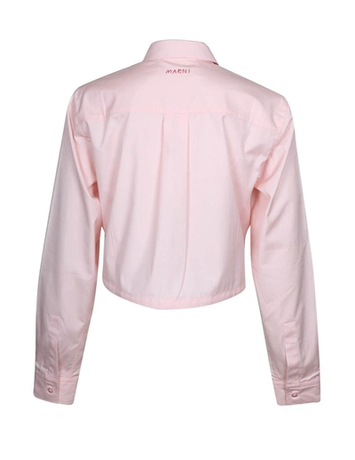 Shop Marni Cropped Shirt In Poplin Cotton In Pink