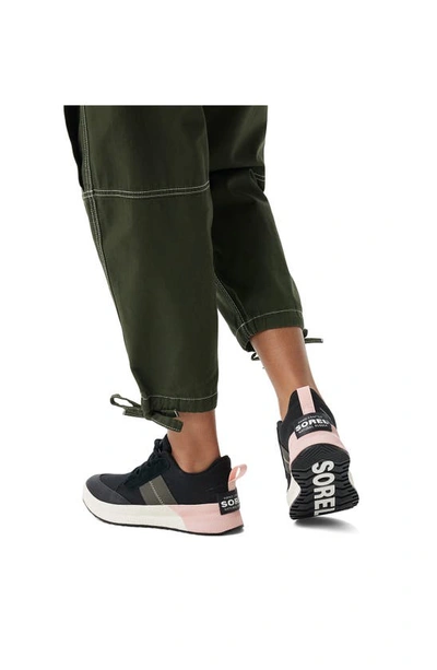 Shop Sorel Out N About Waterproof Low Top Sneaker In Black/ Vintage Pink