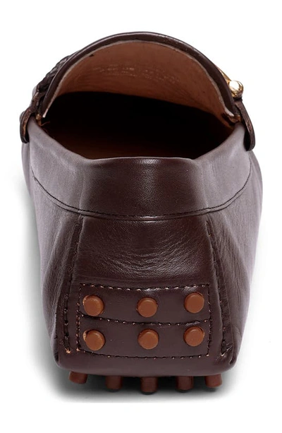 Shop Carlos Santana Malone Driver Loafer In Coffee