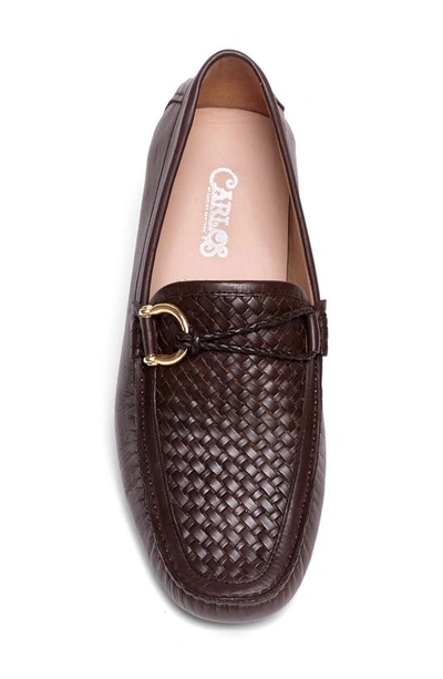 Shop Carlos Santana Malone Driver Loafer In Coffee