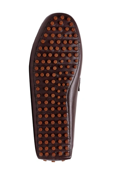 Carlos Santana Malone Driver Loafer In Coffee