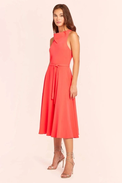 Shop Amanda Uprichard Elondra Dress In Coral In Pink
