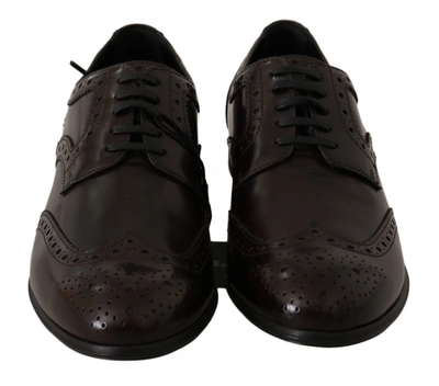 Shop Dolce & Gabbana Leather Broques Oxford Wingtip Women's Shoes In Brown