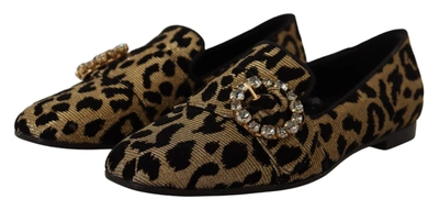 Shop Dolce & Gabbana Leopard Print Crystals Loafers Women's Shoes In Brown