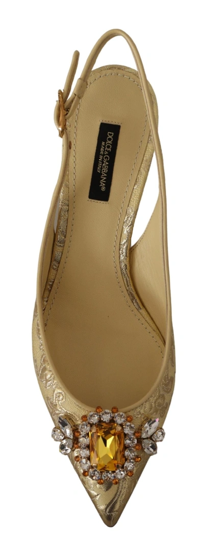 Shop Dolce & Gabbana Crystal Slingbacks Pumps Heels Women's Shoes In Gold