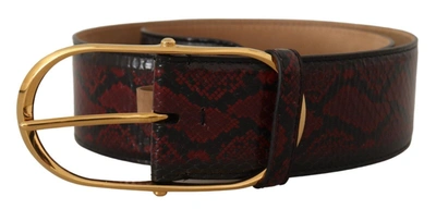 Shop Dolce & Gabbana Exotic Leather  Oval Buckle Women's Belt In Red