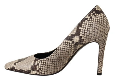 Shop Sofia Snake Skin Leather Stiletto High Heels Pumps Women's Shoes In Grey