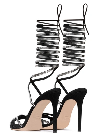 Shop Paris Texas 'holly Nicole Lace Up Over The Knee' Sandals In Black