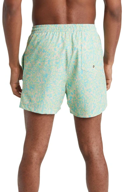 Shop Open Edit Recycled Volley Swim Trunks In Blue Button Psych Blooms