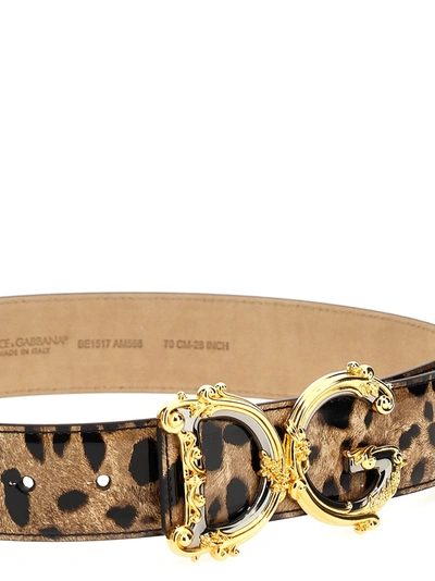 Shop Dolce & Gabbana Logo Animalier Belt Belts Multicolor