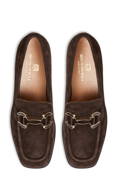 Shop Bruno Magli Natalie Bit Loafer In Brown Suede