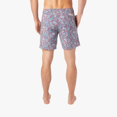Shop Fair Harbor The Bayberry Trunk In Red