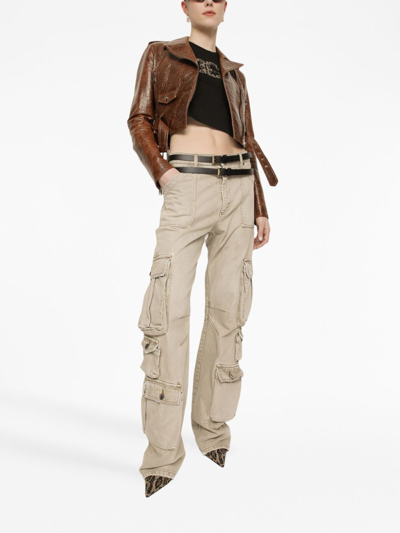 Shop Dolce & Gabbana Cropped Buckled Biker Jacket In Brown