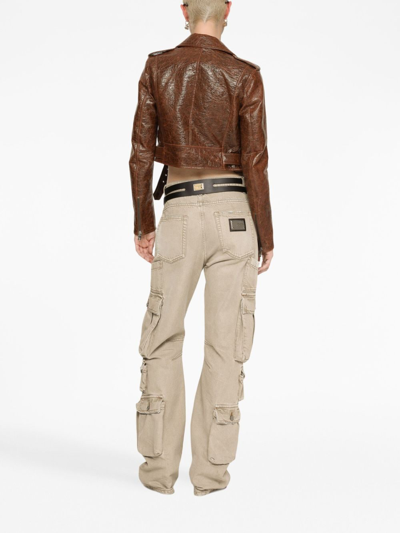 Shop Dolce & Gabbana Cropped Buckled Biker Jacket In Brown