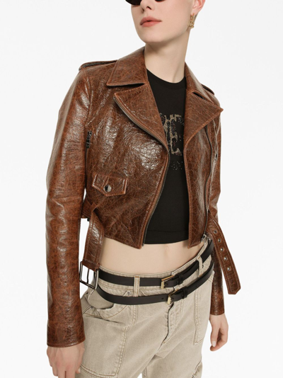 Shop Dolce & Gabbana Cropped Buckled Biker Jacket In Brown