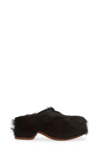 Shop Dries Van Noten Fuzzy Genuine Calf Hair Clog In Qu312 Dbrown704