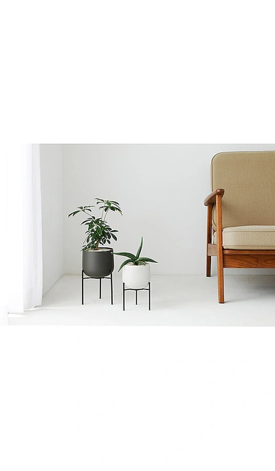 Kinto 5in Ceramic Plant Pot 211 In Earth Grey