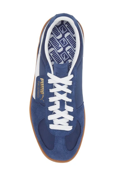 Shop Puma Palermo Sneaker In New Navy- White-gold