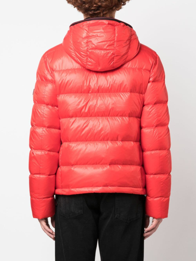 Shop Peuterey Logo-patch Padded Jacket In Red