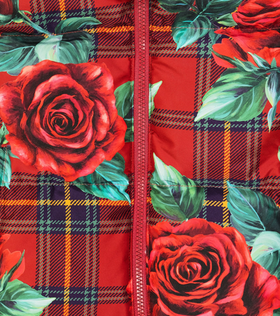 Dolce & Gabbana Floral Tartan Puffer Jacket In Red