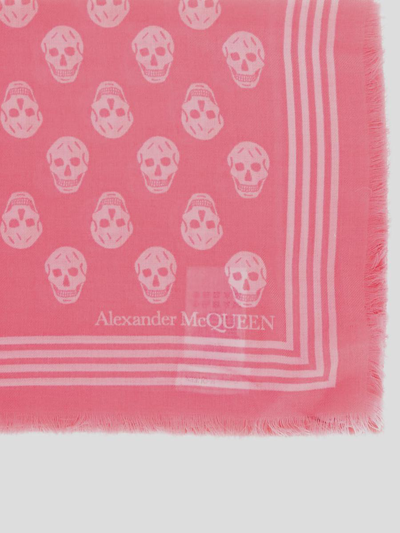 Shop Alexander Mcqueen Scarfs In Pink