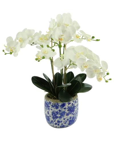 Shop Creative Displays White Orchid Floral Arrangement In Ceramic Pot