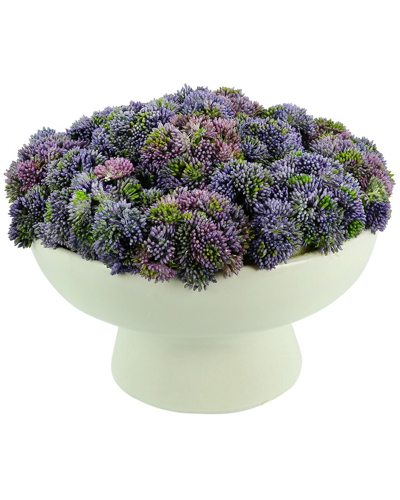 Shop Creative Displays Purple Sedum Arrangement In Ceramic Pedestal Vase