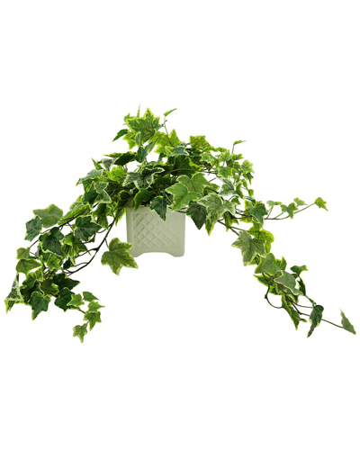 Creative Displays Green Ivy Arrangement In Square Ceramic Pot In Green