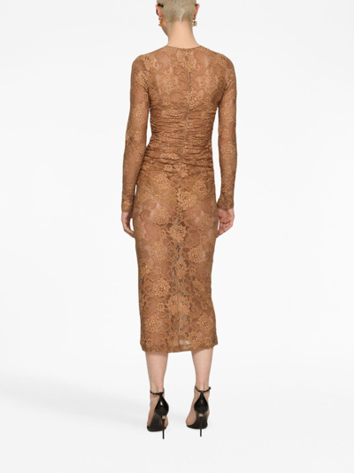 Shop Dolce & Gabbana Chantilly-lace Semi-sheer Midi Dress In Brown