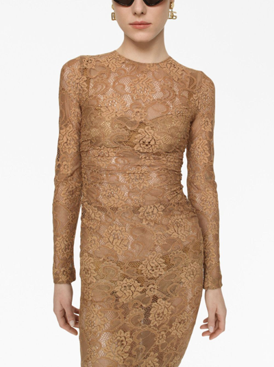 Shop Dolce & Gabbana Chantilly-lace Semi-sheer Midi Dress In Brown