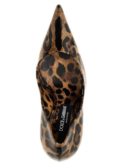 Shop Dolce & Gabbana Animalier Pumps In Multicolor