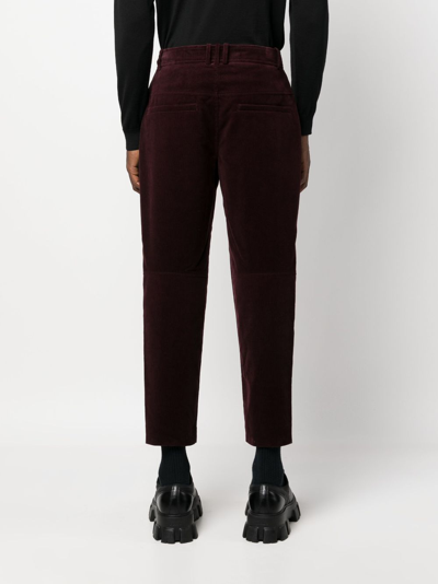 Shop Balmain Tapered-leg Suede Cropped Trousers In Red