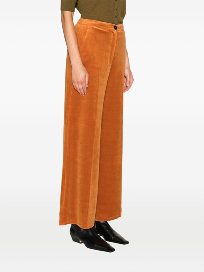 Shop Forte Forte Pressed-crease Velvet Flared Trousers In Orange