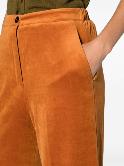 Shop Forte Forte Pressed-crease Velvet Flared Trousers In Orange