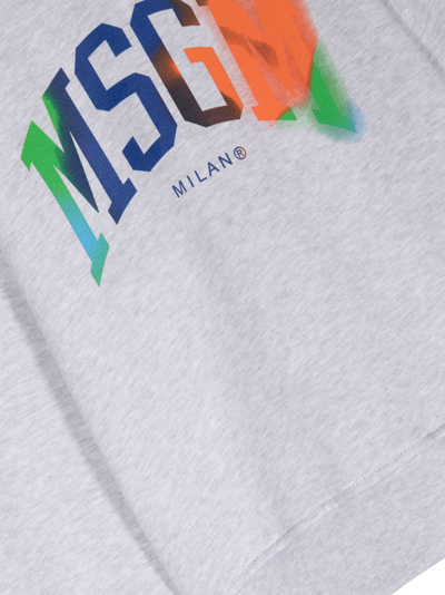 Msgm Printed Logo Cotton Sweatshirt In Grey