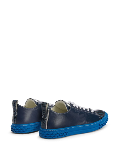 Giuseppe Zanotti Blabber Low-top Sneakers In Multicolour